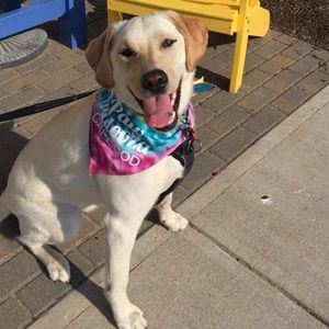 Meet your Posher, Tish